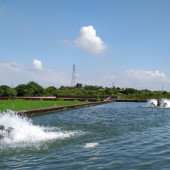 Image Caption